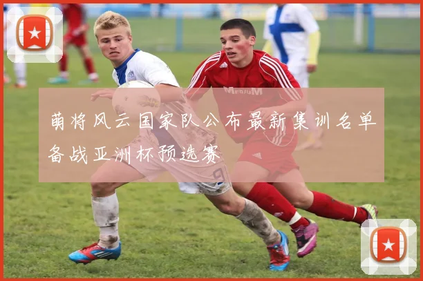 萌将风云国家队公布最新集训名单备战亚洲杯预选赛
