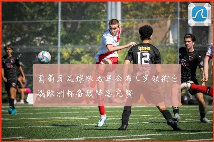 葡萄牙足球队名单公布 C罗领衔出战欧洲杯备战阵容完整