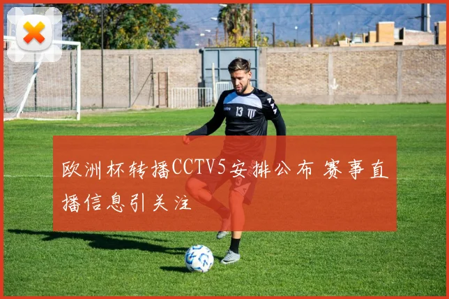 欧洲杯转播CCTV5安排公布 赛事直播信息引关注