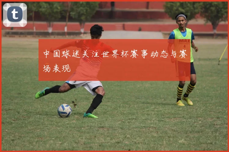 中国球迷关注世界杯赛事动态与赛场表现